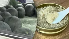 Het duurste eten ter wereld: hier betalen miljonairs echt voor