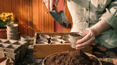 Zaai je in februari, dan oogst je zakkenvol: een beproefde lijst voor een rijk seizoen