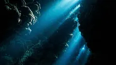 Amerikaanse marine ontdekte vreemd geluid in de oceaan: wetenschappers vermoeden de oorzaak