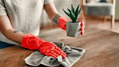 Daarom is er in Japanse huizen nooit stof – deze schoonmaakmethode is verrassend simpel
