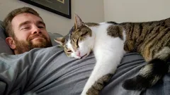 Katten slapen niet alleen uit liefde op hun baasjes: de echte reden kan je verrassen