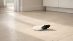 Vindt je een veer in huis? Dit is de spirituele betekenis volgens veel mensen