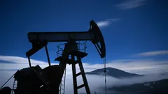 Dinosaurussen zijn niet de oorzaak: waar olie op aarde echt vandaan komt